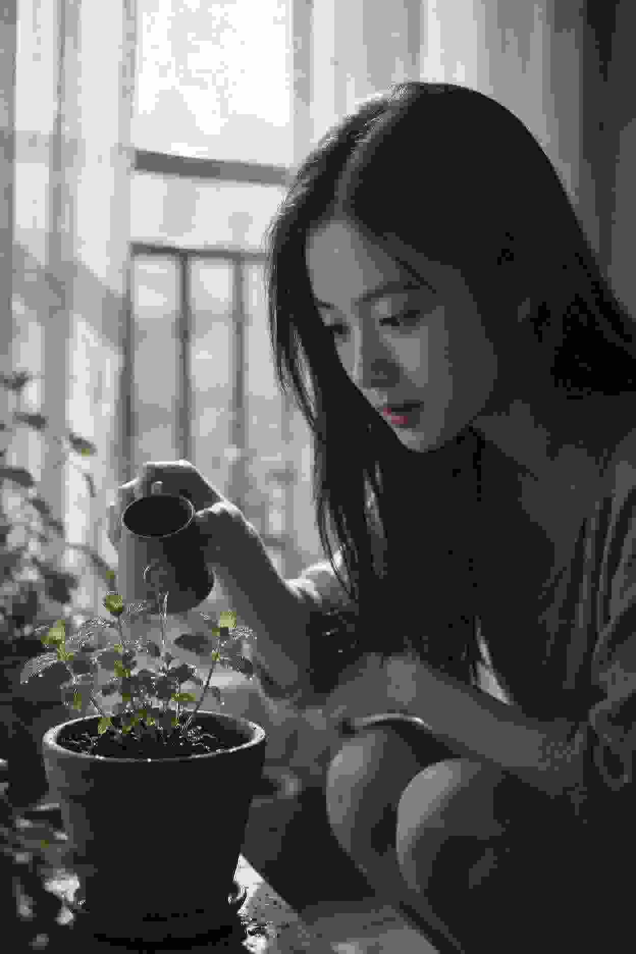 老板娘的复仇